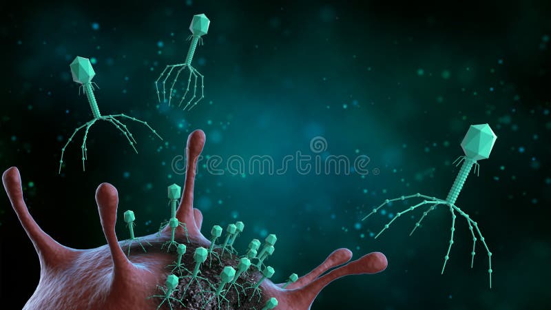 Virus bacteriófagos atacan bacterias, Enfermedad infecciosa, ilustración 3d Concepto médico stock de ilustración