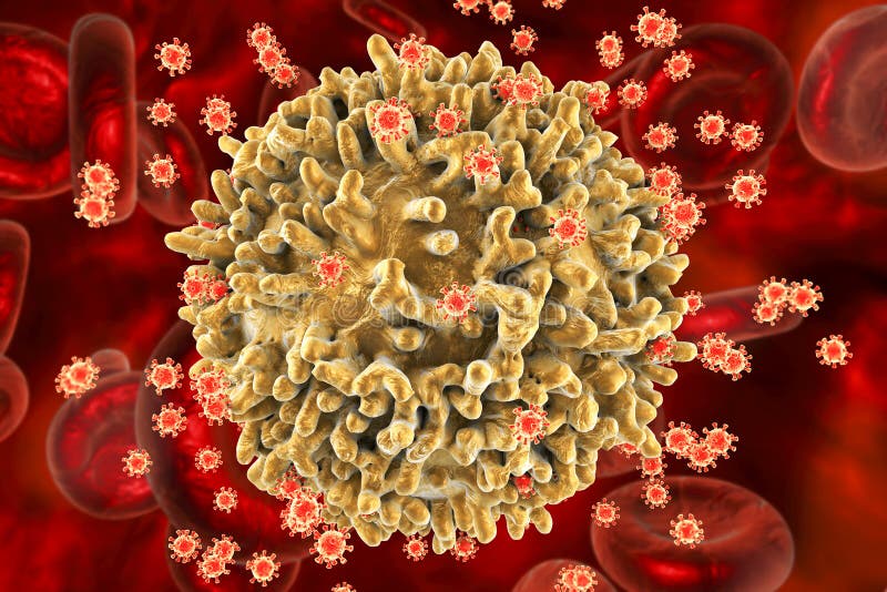 Virus d'HIV infectant le lymphocyte T