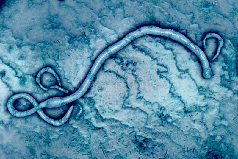 Virus de Ebola