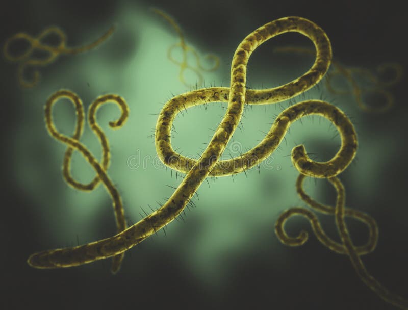 Virus de Ebola libre illustration Virus de Ebola libre illustration
