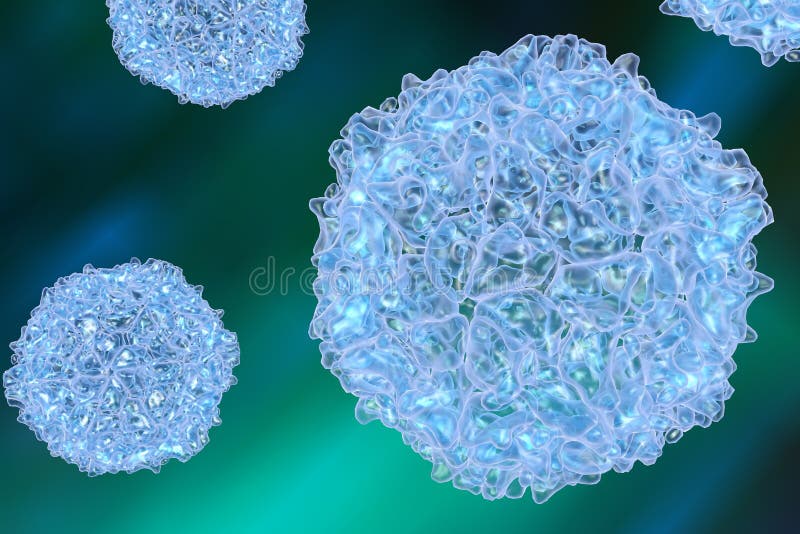 virus-de-la-poliomyelite