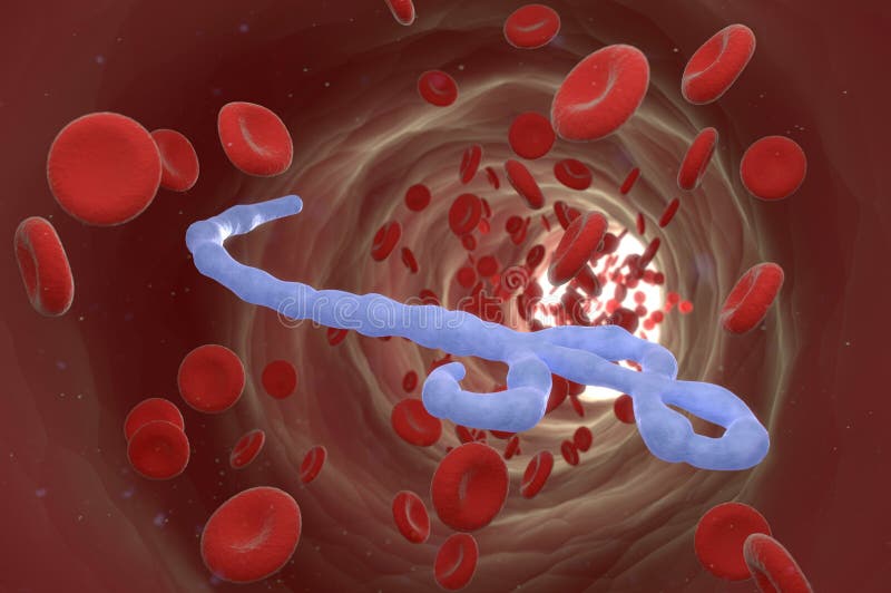 Virus di Ebola royalty illustrazione gratis Virus di Ebola royalty illustrazione gratis