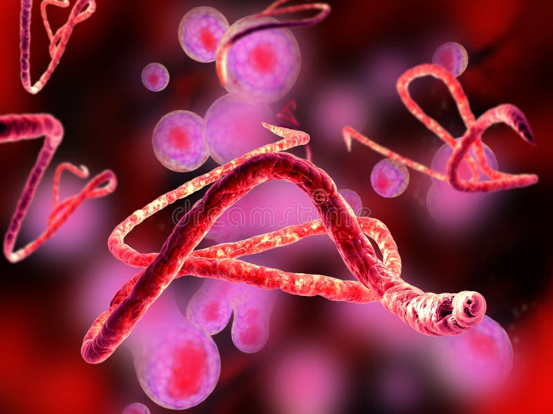 Virus di Ebola, vista microscopica illustrazione di stock Virus di Ebola, vista microscopica illustrazione di stock