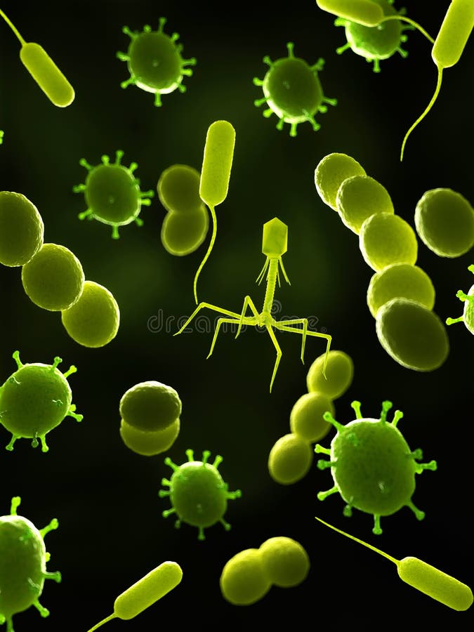Virus et bactéries - fin illustration libre de droits Virus et bactéries - fin illustration libre de droits