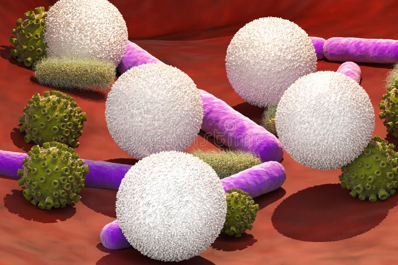 Virus- och bakterieceller med vita blodceller stock illustrationer