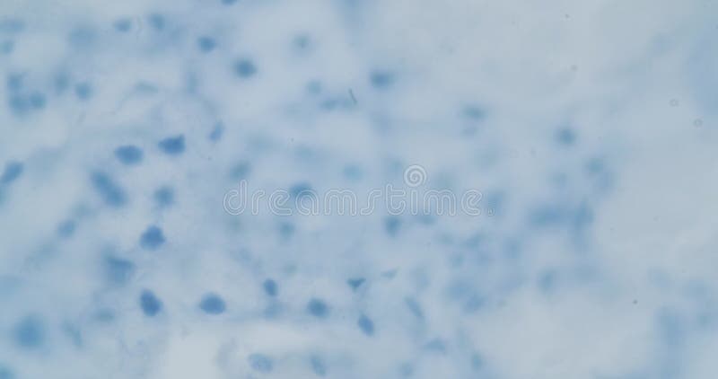 Virus Structure Under a Microscope Stock Photo - Image of background