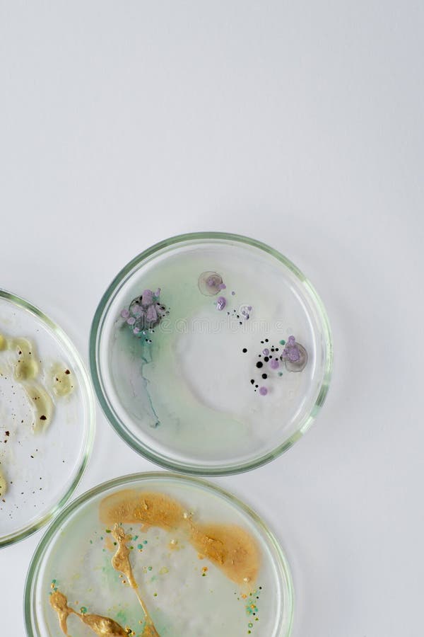 Viruses and Bacteria in a Petri Dish, Studying the Growth of Bacteria on Different Samples in