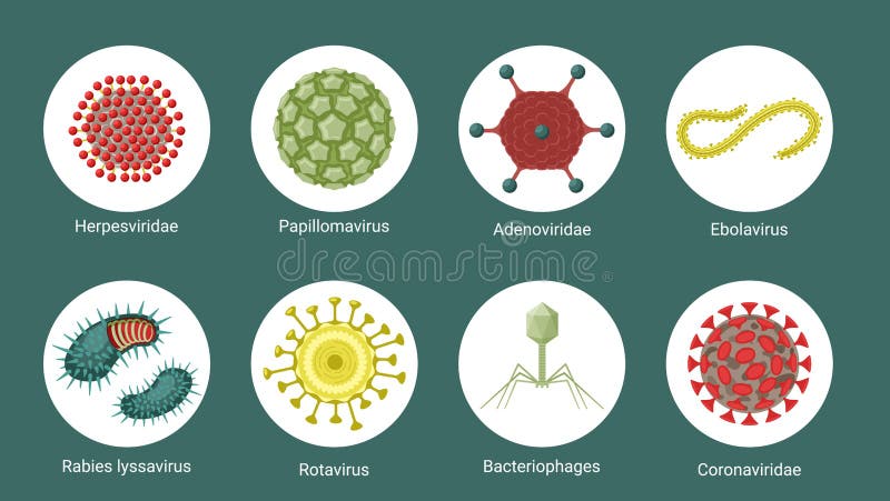 Virusstruktur under mikroskopuppsättning. röda molekyler herpesvirusgröna polygoner av papillomavirusgul bevattnande ebola vektor illustrationer