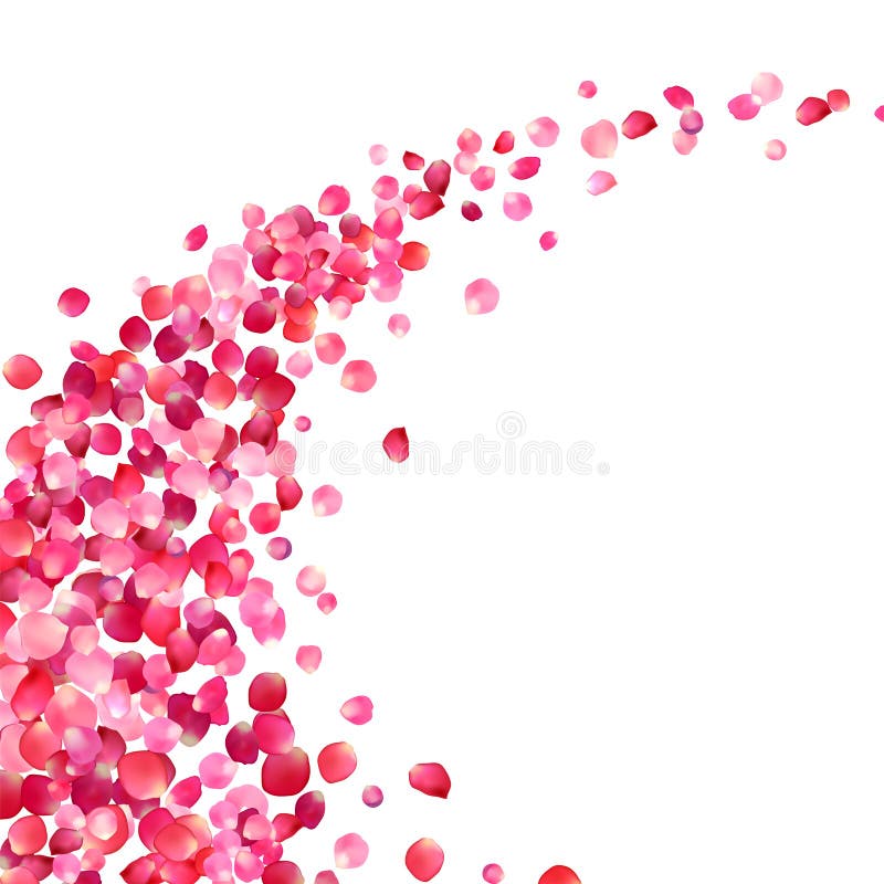 virvel för rosa färgroskronblad royaltyfri illustrationer virvel för rosa färgroskronblad royaltyfri illustrationer