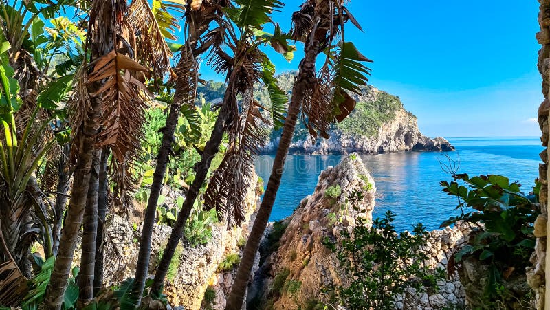 Planta De Dragão De Pequena Dimensão Com Vista Cênica No Dia Ensolarado Da  Ilha Turística Isola Bella Em Taormina Siciliana Itália Imagem de Stock -  Imagem de litoral, console: 251060157