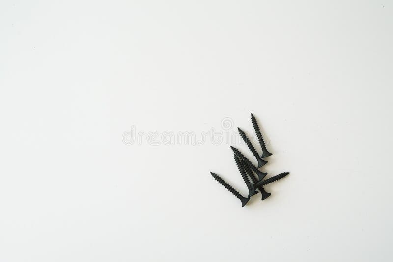 Black screws of self-tapping screws of same sizes isolated on white background. DIY, constructions, hobbies and crafts concept. Backdrop, bolt, building, carpentry, chrome, closeup, engineering, equipment, fix, group, hardware, head, industrial, industry, iron, macro, many, mechanic, metal, metallic, nail, nobody, nut, object, part, pattern, pile, repair, screwed, selftapping, set, shiny, silver, small, steel, texture, thread, tool, wood, work, workshop. Black screws of self-tapping screws of same sizes isolated on white background. DIY, constructions, hobbies and crafts concept. Backdrop, bolt, building, carpentry, chrome, closeup, engineering, equipment, fix, group, hardware, head, industrial, industry, iron, macro, many, mechanic, metal, metallic, nail, nobody, nut, object, part, pattern, pile, repair, screwed, selftapping, set, shiny, silver, small, steel, texture, thread, tool, wood, work, workshop