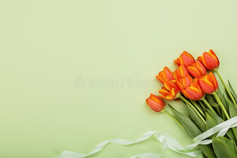 View from above tulip flowers orange color with copy space on green. Background for womens day, 8 March Valentines day, 14 february. Flat lay style, top view, mockup, template, overhead. Greeting card. High quality photo. View from above tulip flowers orange color with copy space on green. Background for womens day, 8 March Valentines day, 14 february. Flat lay style, top view, mockup, template, overhead. Greeting card. High quality photo