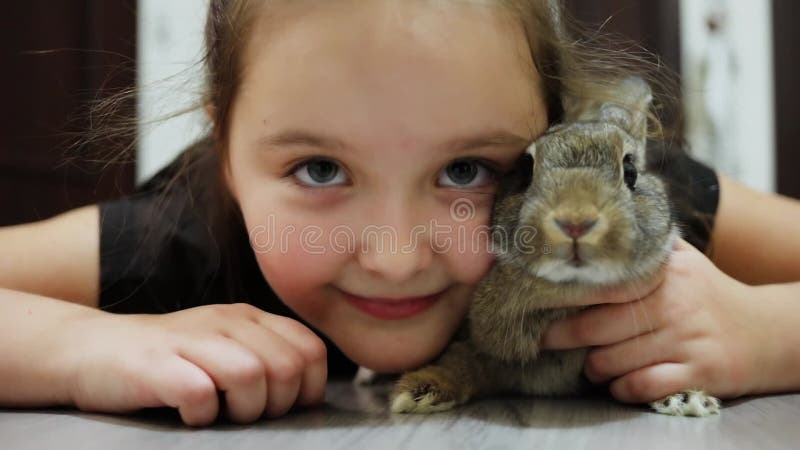 Visage de jeune fille qui tient lapin et regarde banque de vidéos