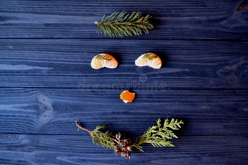 Visage drôle des produits naturels Museau gai sur la vue supérieure de table image stock Visage drôle des produits naturels Museau gai sur la vue supérieure de table image stock