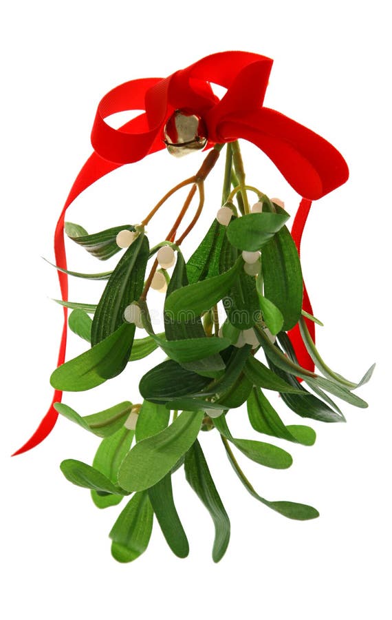 Vischio di natale isolato fotografia stock Vischio di natale isolato fotografia stock
