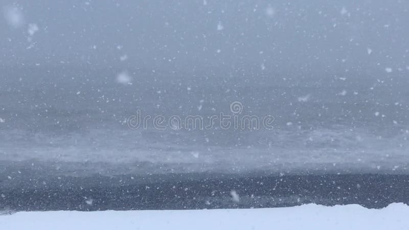 Vision statique des conditions de chute de neige clips vidéos