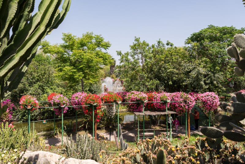 Visit To Utopia Orchid Park Editorial Photography Image of park