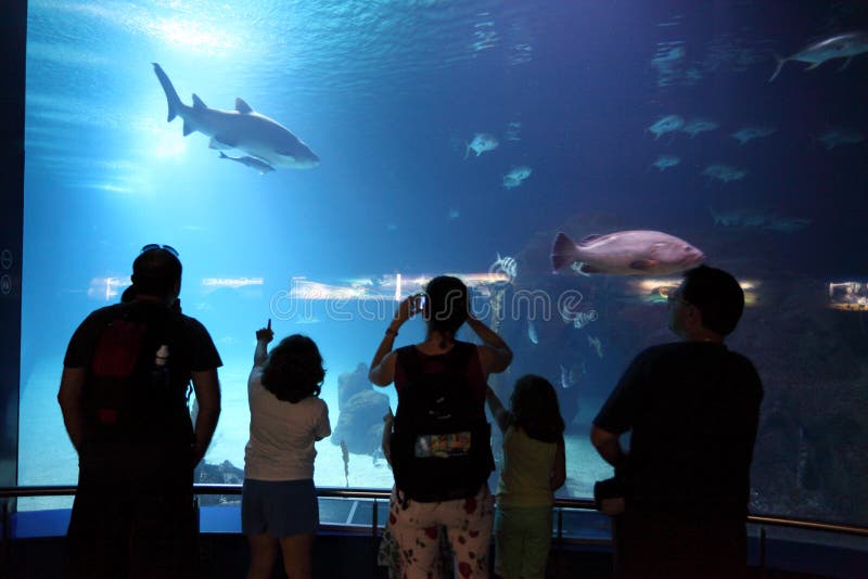 Handicap Accessible editorial image. Image of aquarium 42374350