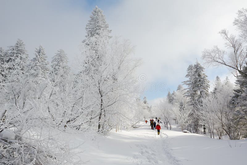 The visitors on the snowfield