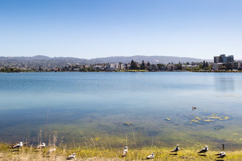 Visión sobre el lago Merritt fotografía de archivo Visión sobre el lago Merritt fotografía de archivo