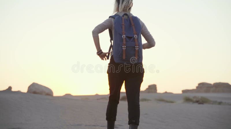 Visión trasera de una mujer viajera asiática caminando por el desierto de gobi almacen de video