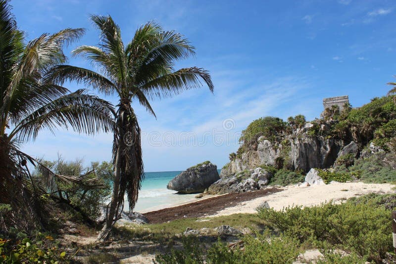 This glimpse of natural paradise was immortalized in Tulum, a destination in Mexico. it is an area completely immersed between nature and the ocean, creating breathtaking landscapes. it is also characterized by ancient architectural structures that create further amazement. This glimpse of natural paradise was immortalized in Tulum, a destination in Mexico. it is an area completely immersed between nature and the ocean, creating breathtaking landscapes. it is also characterized by ancient architectural structures that create further amazement.