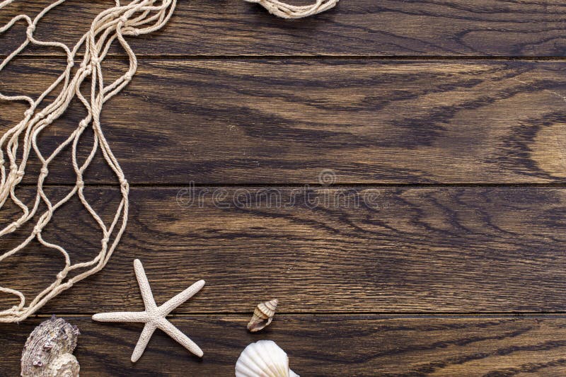 Fishing net and sea shells on old oak board background with copy space. Fishing net and sea shells on old oak board background with copy space