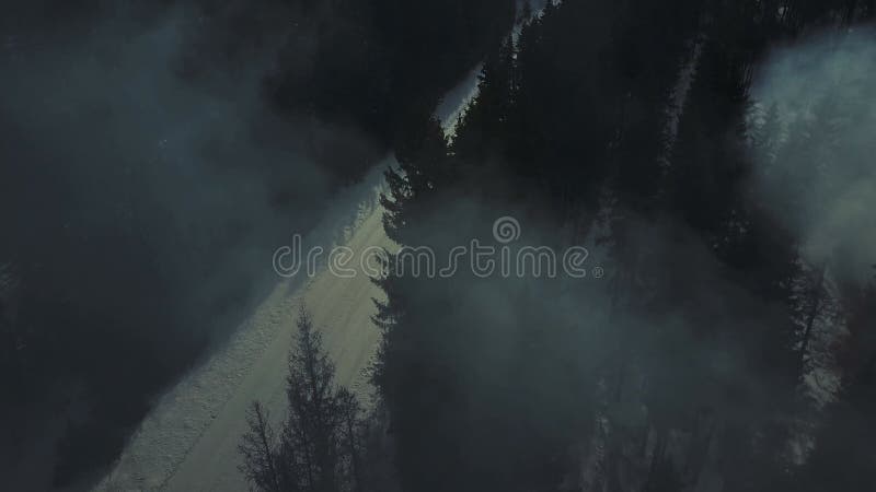 Vista Aérea. Bosque Misterioso En La Noche Y Niebla. Luz De Luna Y Sombra  De árboles. Imagen de archivo - Imagen de moonlight, niebla: 224312941