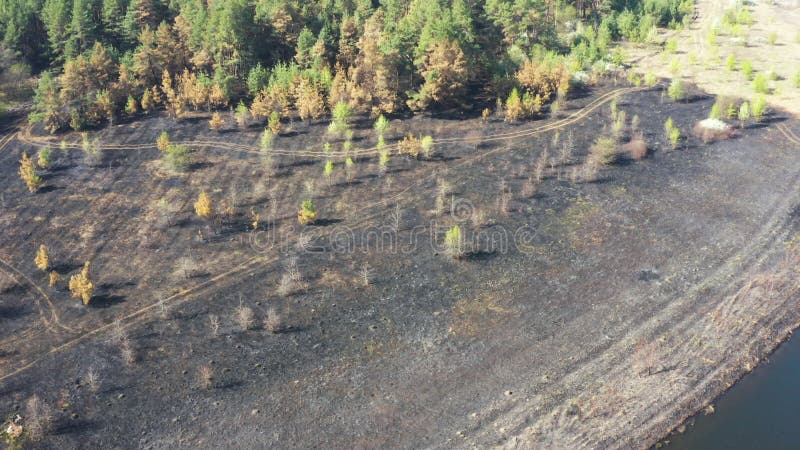 Nascente De água De Incêndio. Metano Em Combustão Na água. Fogo Frio Imagem  de Stock - Imagem de feiticeiro, subterrâneo: 214718589