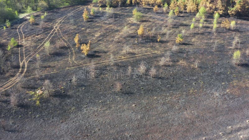 Nascente De água De Incêndio. Metano Em Combustão Na água. Fogo Frio Imagem  de Stock - Imagem de feiticeiro, subterrâneo: 214718589