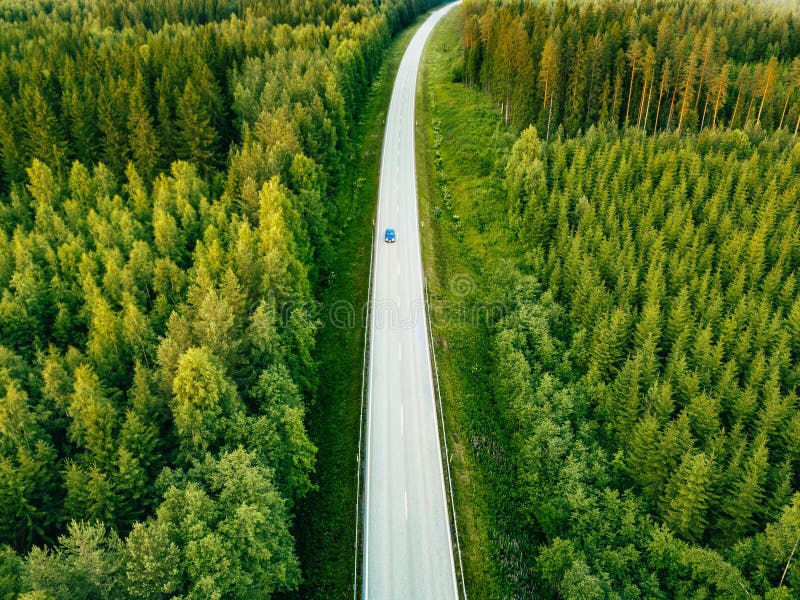 Vista aerea da sopra della strada campestre attraverso la foresta verde di estate di estate Finlandia