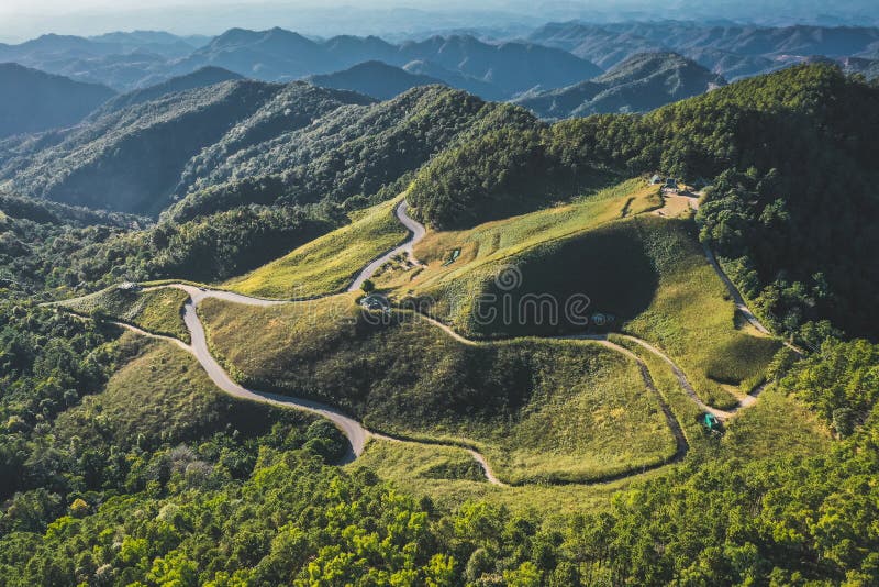 Vista aerea dei campi di thung bua tong a mae hong son thailand immagini stock