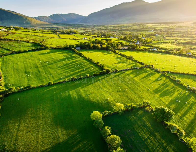 Vista aerea dei pascoli fertili e dei terreni coltivabili senza fine dell'Irlanda Bella campagna irlandese con i campi ed i prati