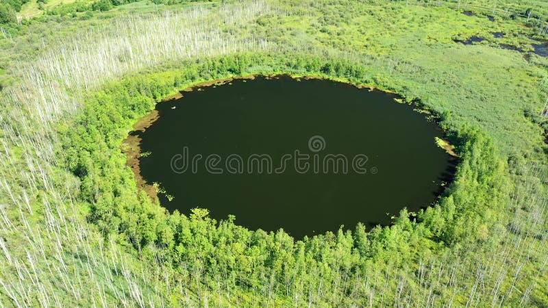 Vista aerea del lago senza fondo nella foresta del distretto di solnechnogorsk