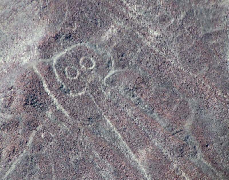 Vista aerea dell'astronauta Nazca Lines