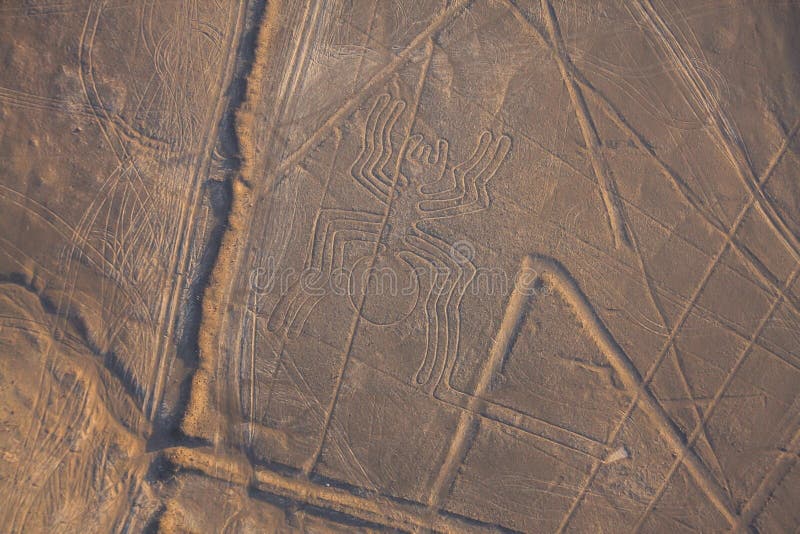 Vista aerea della linea di Nazca, ragno, Perù