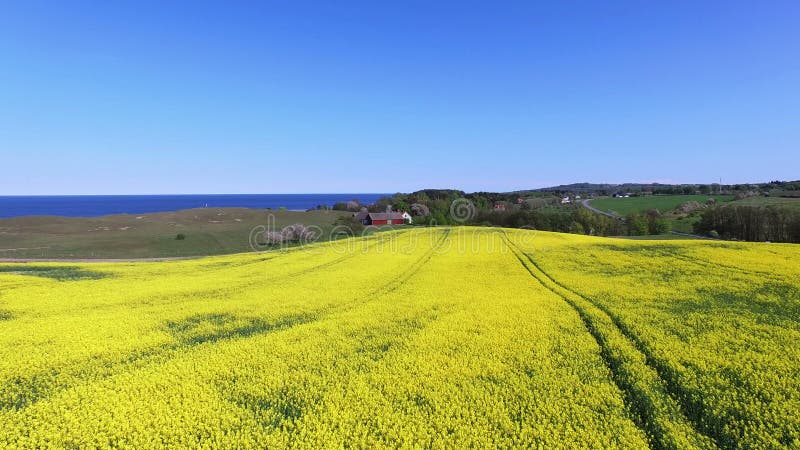 Vista aerea della Svezia del sud