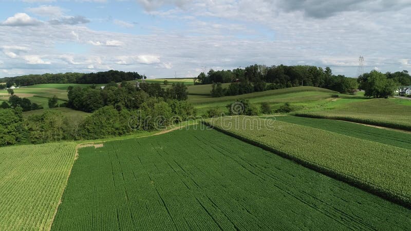 Vista aerea delle fattorie e delle fattorie amish della contea di Lancaster