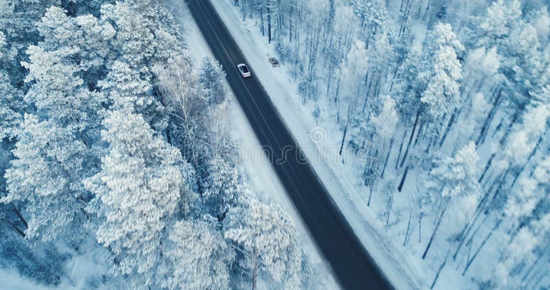 Vista aerea di una guida di veicoli su un sentiero forestale nevoso 4K