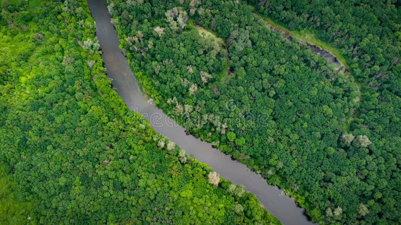 Vista aerea sul fiume che si trova nella foresta verde. drone