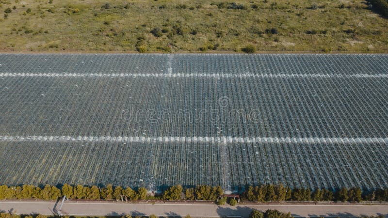 Vista aerea superiore dell’impianto a effetto serra. agronomia annuale controllo del clima e rendimento di energia di recupero del fotografia stock