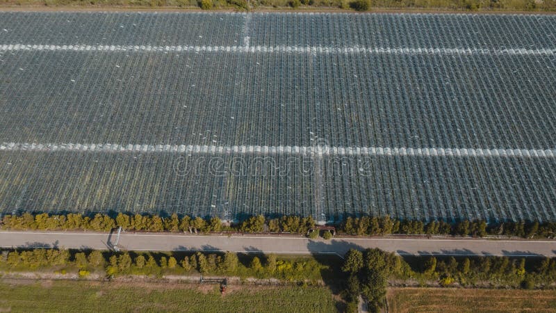Vista aerea superiore dell’impianto a effetto serra. agronomia annuale controllo del clima e rendimento di energia di recupero del immagine stock libera da diritti