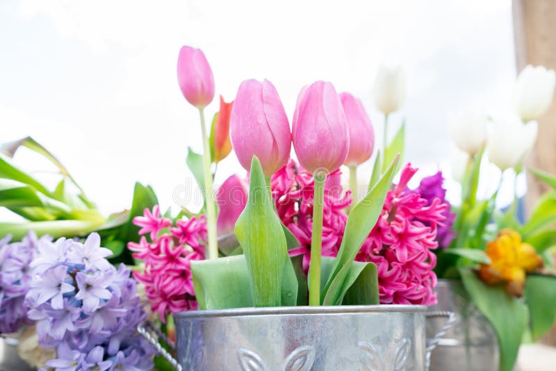 Vista alta vicina di una disposizione dei fiori dei tulipani e di altri fiori in un barattolo di latta d'annata, con luce del gio fotografia stock Vista alta vicina di una disposizione dei fiori dei tulipani e di altri fiori in un barattolo di latta d'annata, con luce del gio fotografia stock