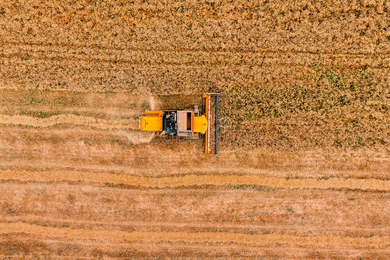 Vista aérea da máquina da agricultura da ceifeira de liga que trabalha no campo de trigo maduro fotos de stock royalty free Vista aérea da máquina da agricultura da ceifeira de liga que trabalha no campo de trigo maduro fotos de stock royalty free