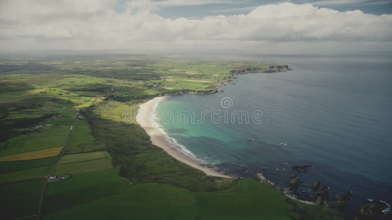 Vista aérea de la bahía del océano en irlanda : prados verdes de campos amarillos en antrim. cielo de verano nublado