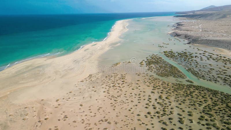 Vista aérea de la playa de Sotavento Fuerteventura Isla Canaria España almacen de video