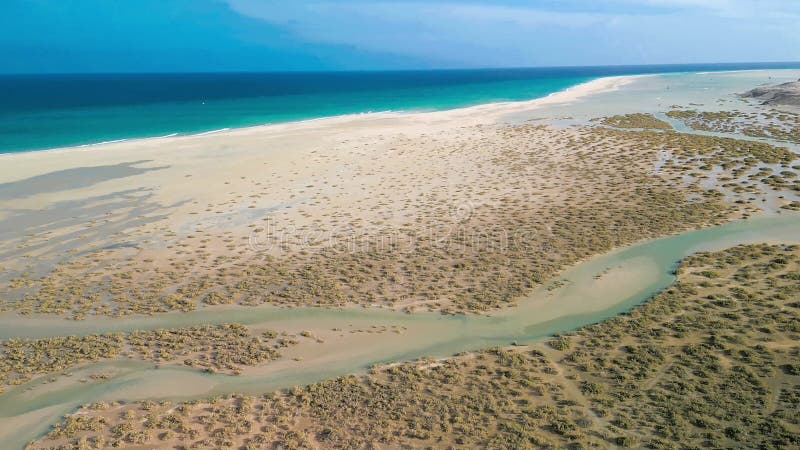 Vista aérea de la playa de Sotavento Fuerteventura Isla Canaria España almacen de metraje de vídeo