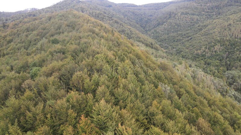 Vista aérea de las montañas carpáticas en otoño. ucrania