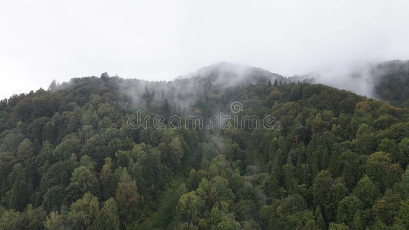 Vista aérea de las montañas carpáticas en otoño. ucrania