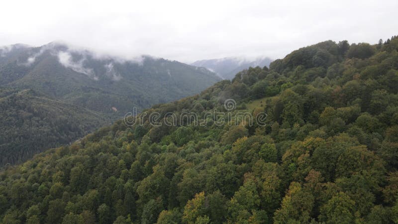 Vista aérea de las montañas carpáticas en otoño. ucrania